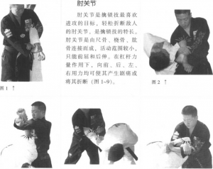 图片1