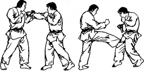 截拳道右弹踢