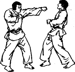截拳道左剌拳