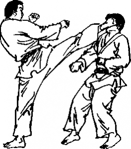 截拳道右侧弹踢击
