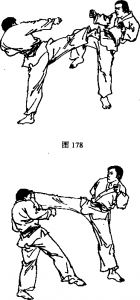 右侧弹点踢截拳道