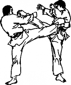 截拳道右侧踢反攻