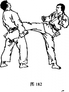 截拳道右侧弹腿