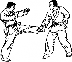 截拳道左正蹬腿