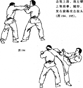 截拳道右直拳