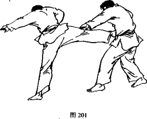 右旋风踢攻击