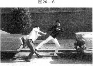 图片88