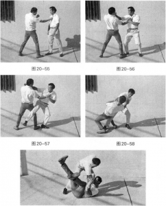 图片1