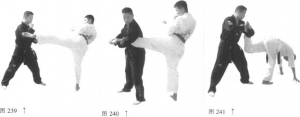 图片12