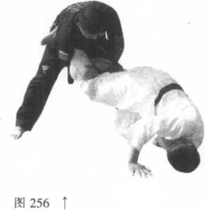 图片23