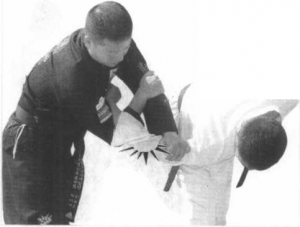 图片44