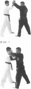 图片81