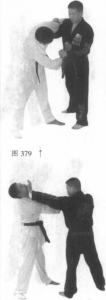 图片95