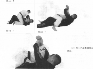 图片8