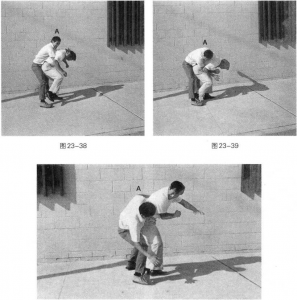 图片12