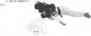 图片31