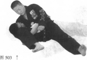 图片49