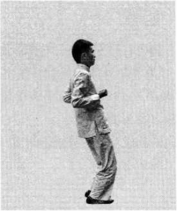 图片81