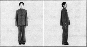 图片1