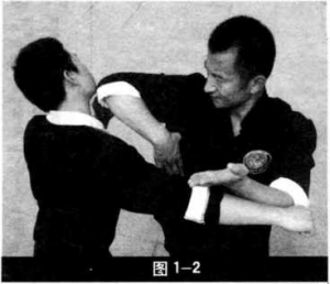 图片4