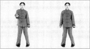 图片145