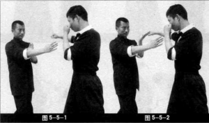 图片102