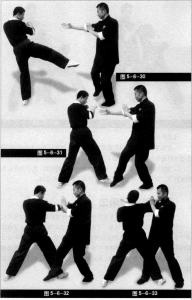 图片134