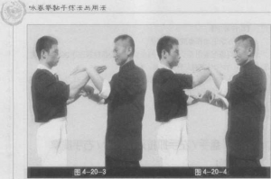 图片31