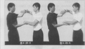 图片113