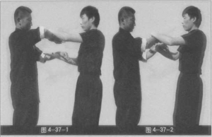 图片169