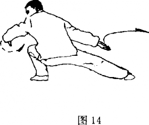 图片12