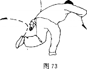 图片49