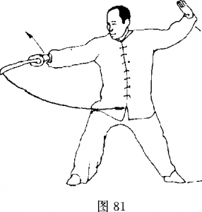 图片49
