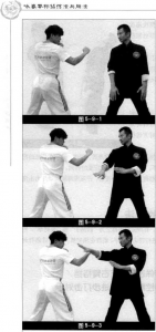 图片23