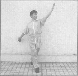 图片25