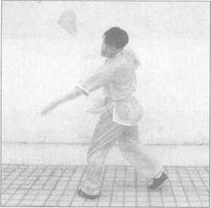 图片45