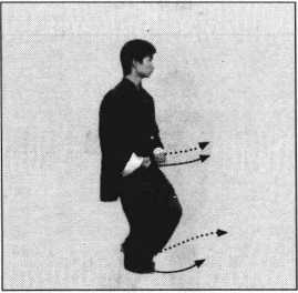 形意拳十二形综合套路_形意拳|武术世家