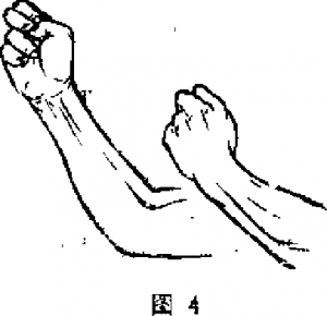 图片5