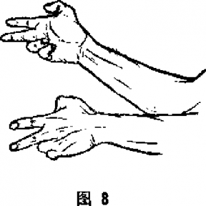 图片8