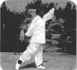 图片8