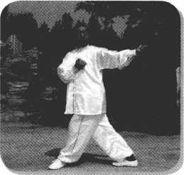 图片19