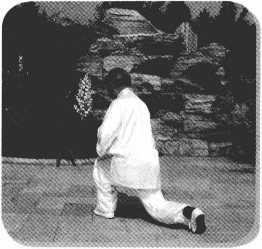 图片30