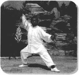 图片31