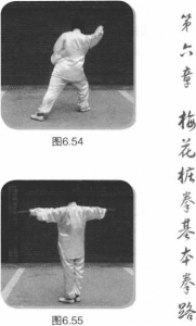 图片49