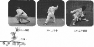 图片131