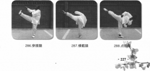 图片155