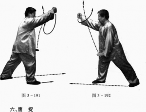 图片48