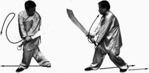 图片131