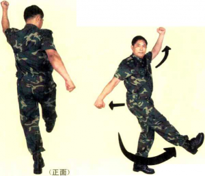 图片49
