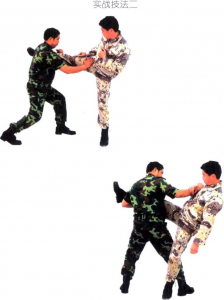 图片125